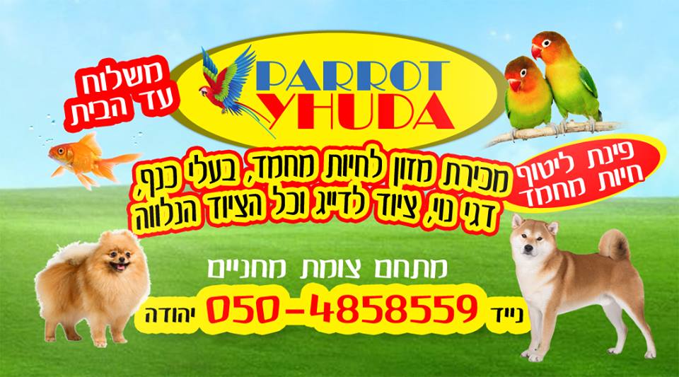 בדרך לרמת הגולן חוויה בלתי נשכחת בפארוט יהודה .